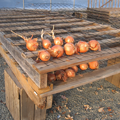 Move transplants easily with farm-built pallets